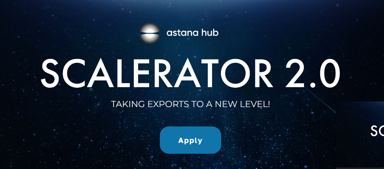 Scalerator 2024: Applications for the export support program for IT startups are now open